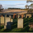 Kilkonquhar churchyard 2