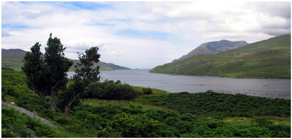 Killarey Harbour, Connemara