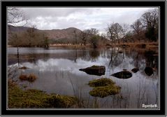 Killarney forest park&near to Lady's view