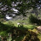 Killarney - Gap of Dunloe