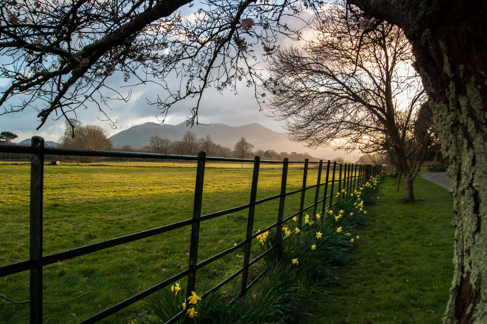 Killarney National Park