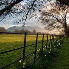 Killarney National Park