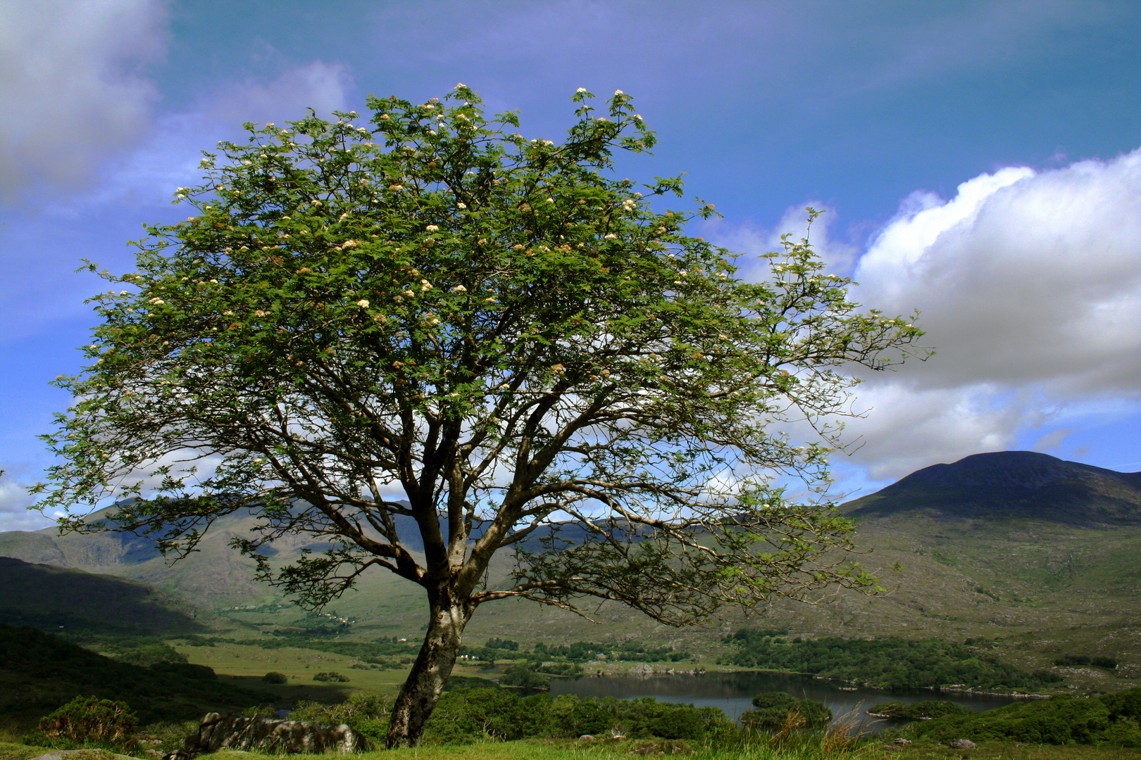 Killarney National Park - 2012 (1)