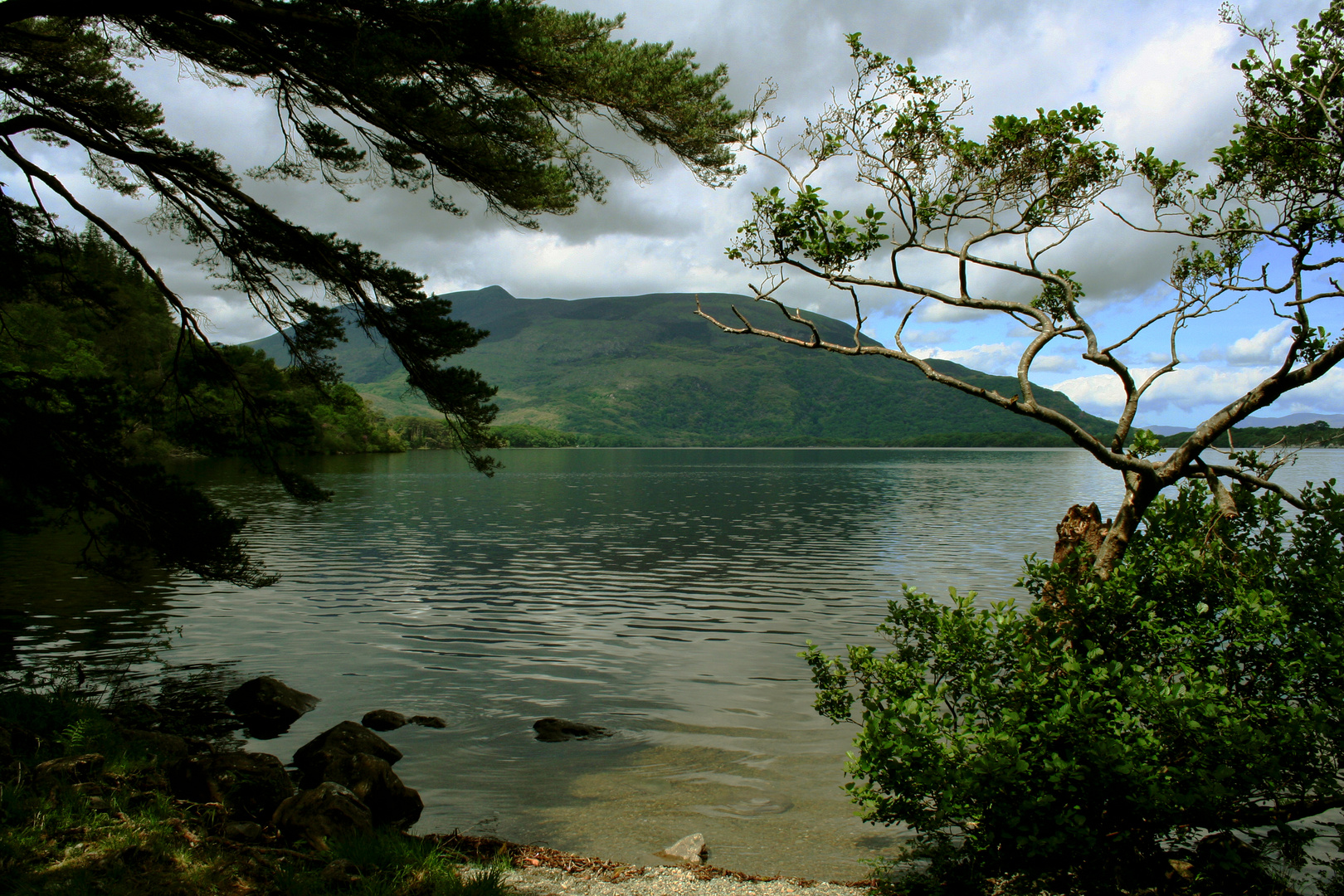 Killarney National Park - 2012 (2)