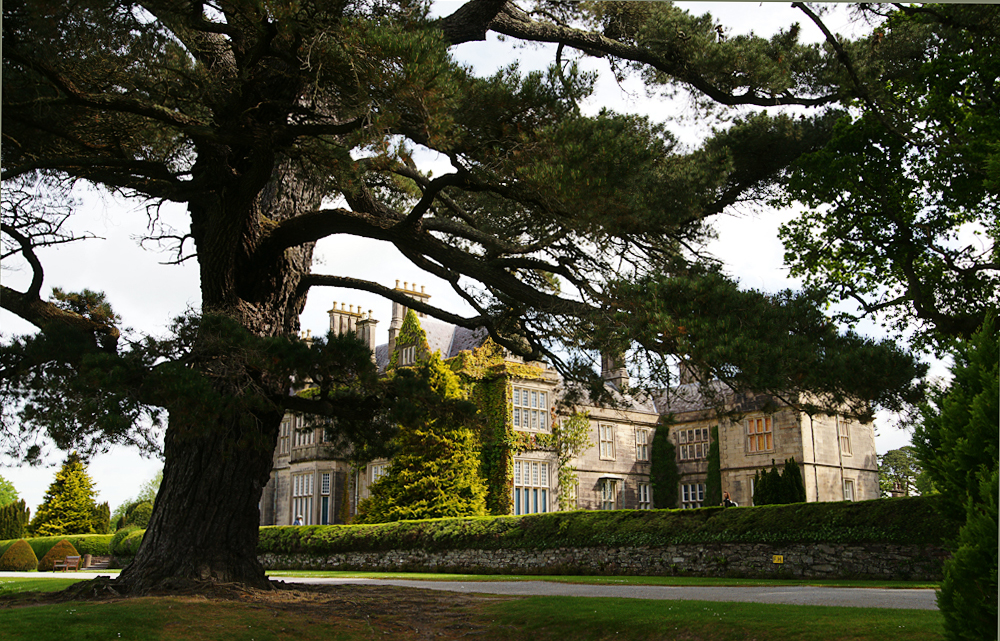 Killarney National Park