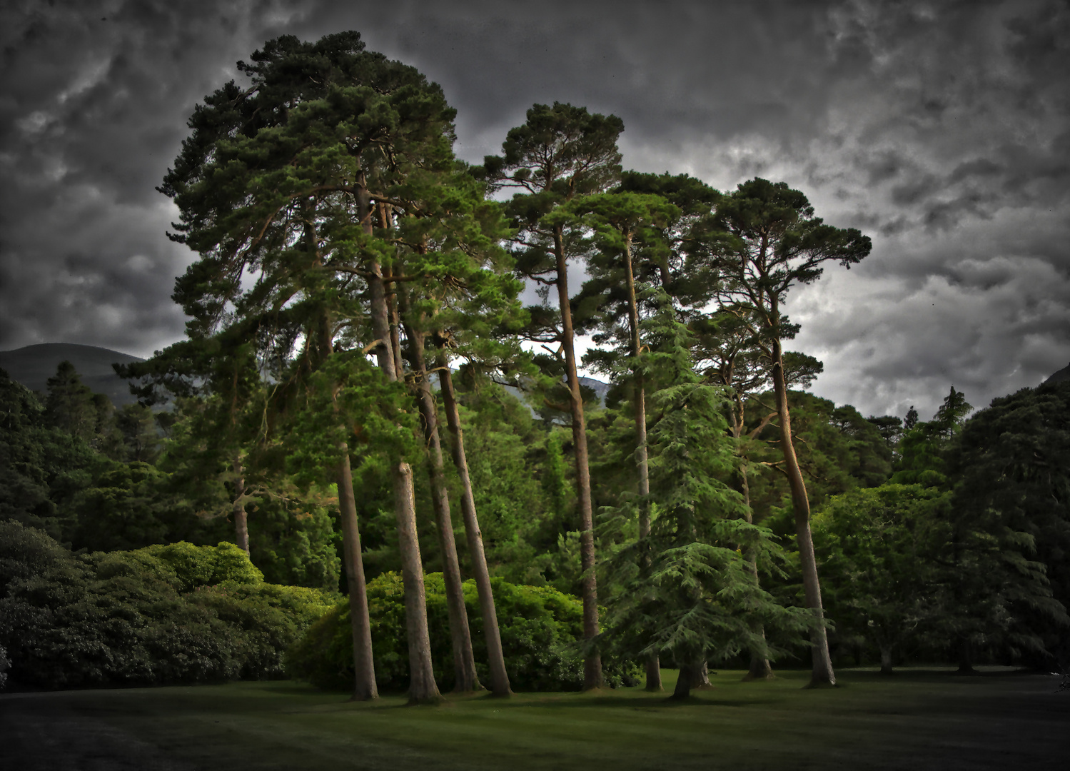 Killarney national park