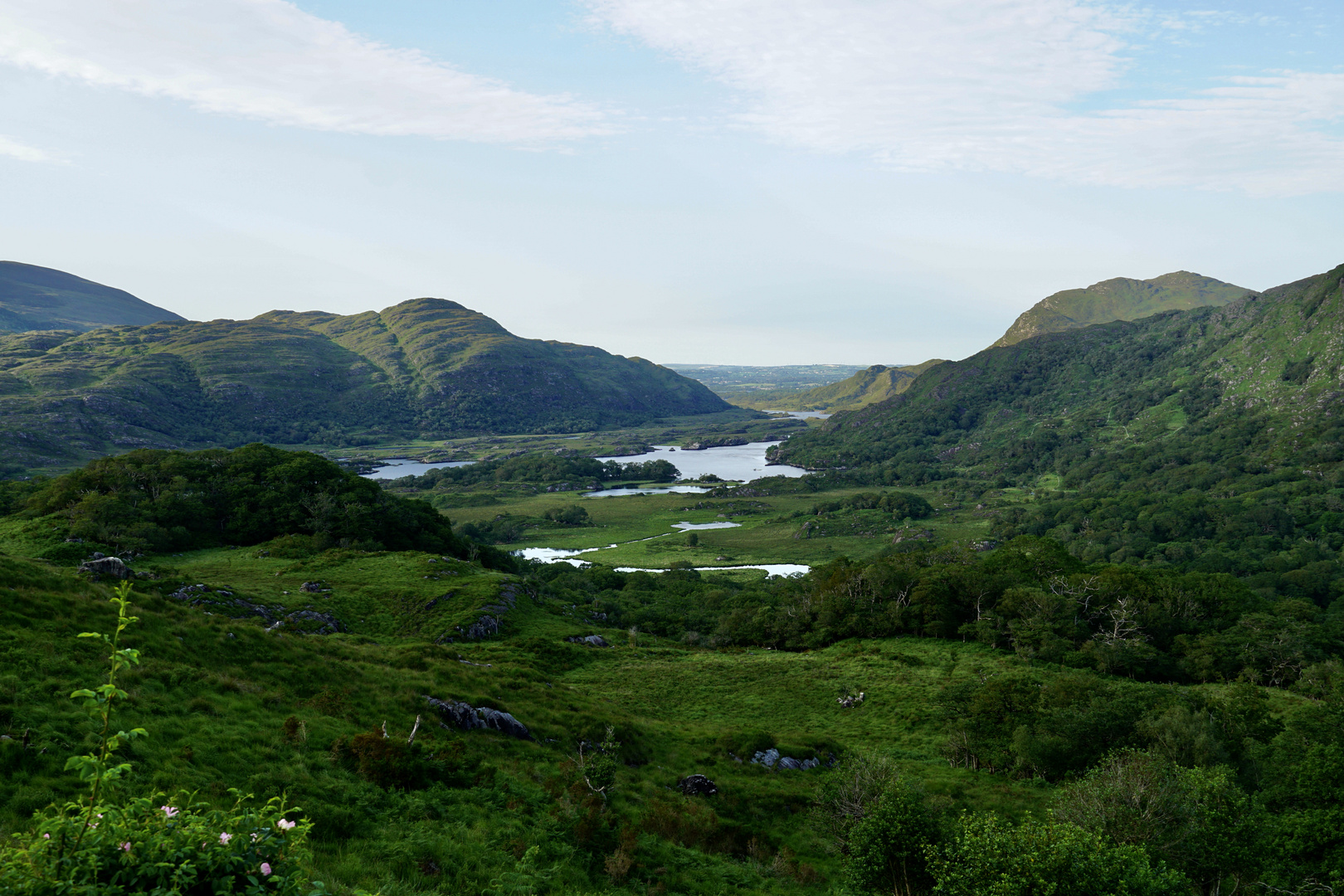 Killarney National Park / Blick vom Ladies' View