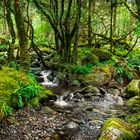 Killarney National Park