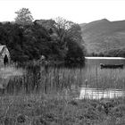 Killarney National Park Irland