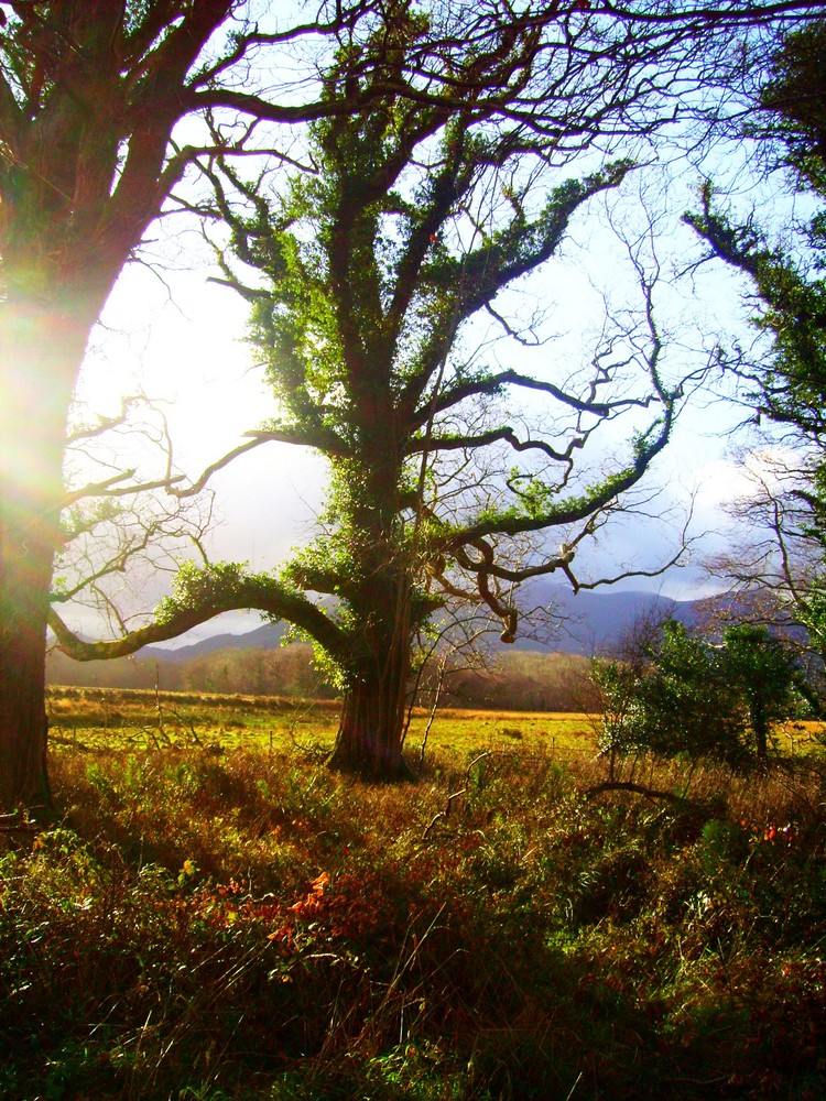 Killarney Nationalpark