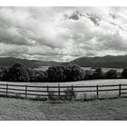 Killarney Nationalpark - Panoramablick von Aghadoe