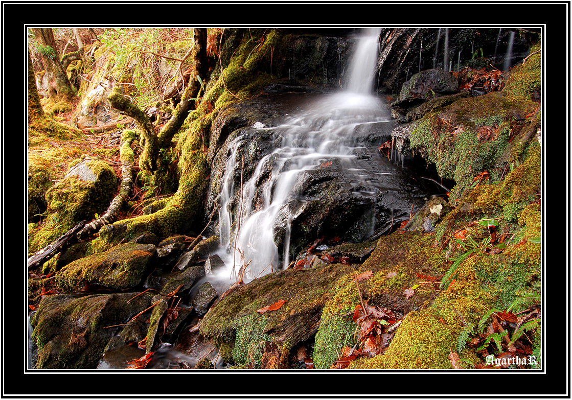 Killarney Waterfalls&near to Lady's view