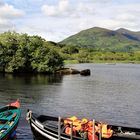 Killarny National Park 