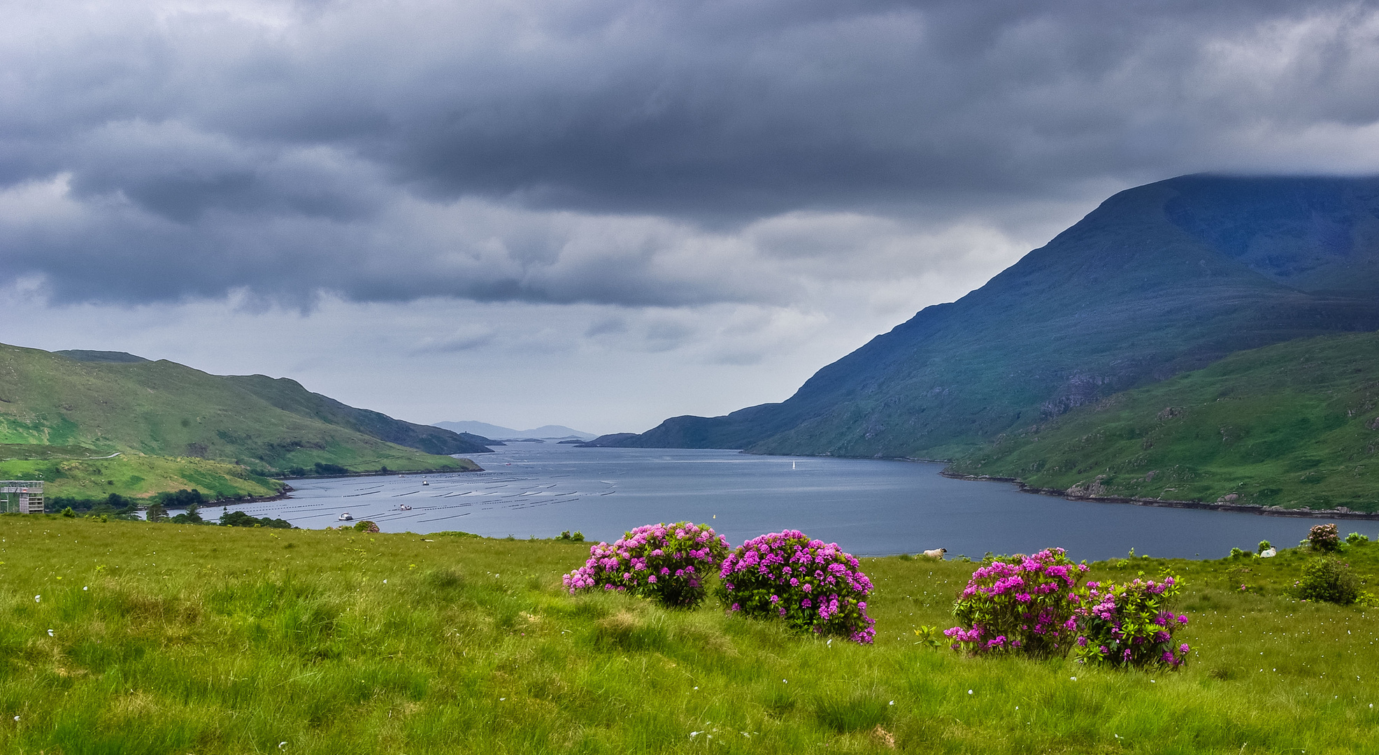 Killary Harbour