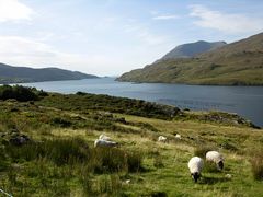 Killary Harbour