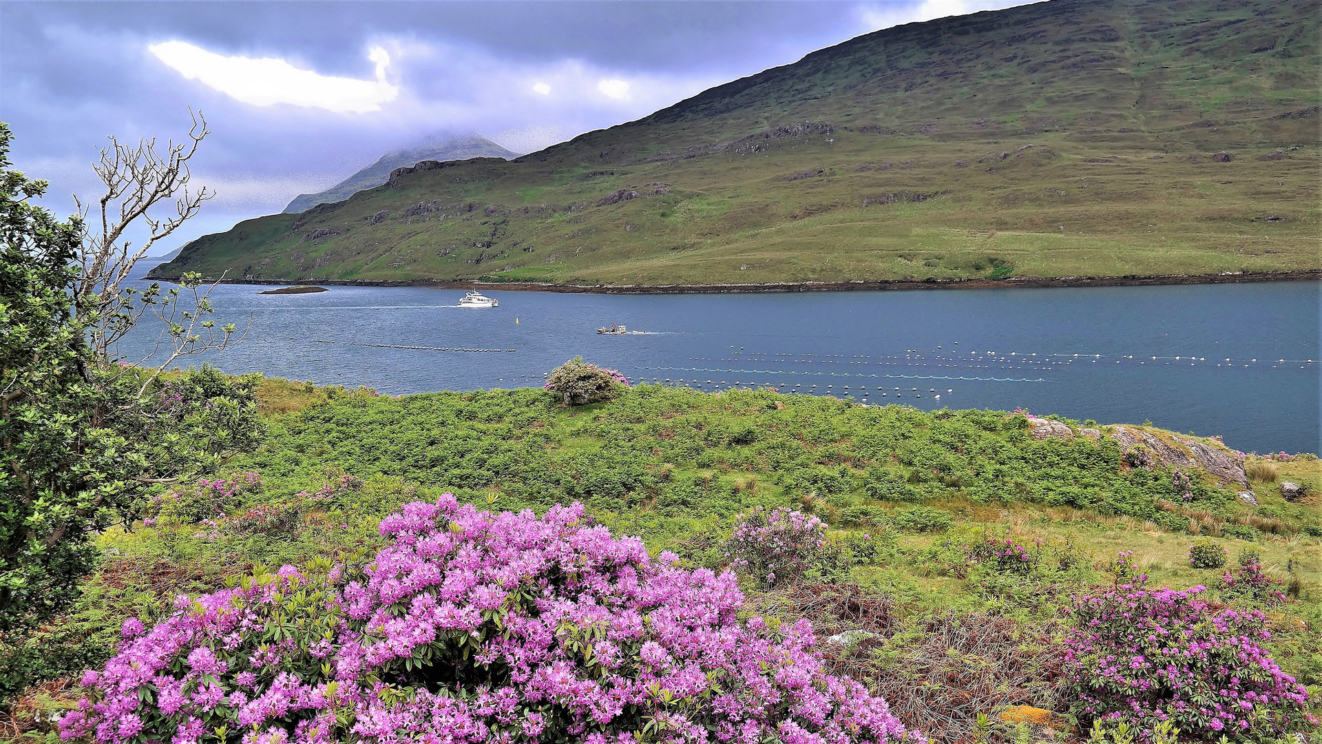 Killary Harbour