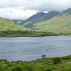 Killary Harbour und die Berge