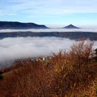 Killertal im Nebel