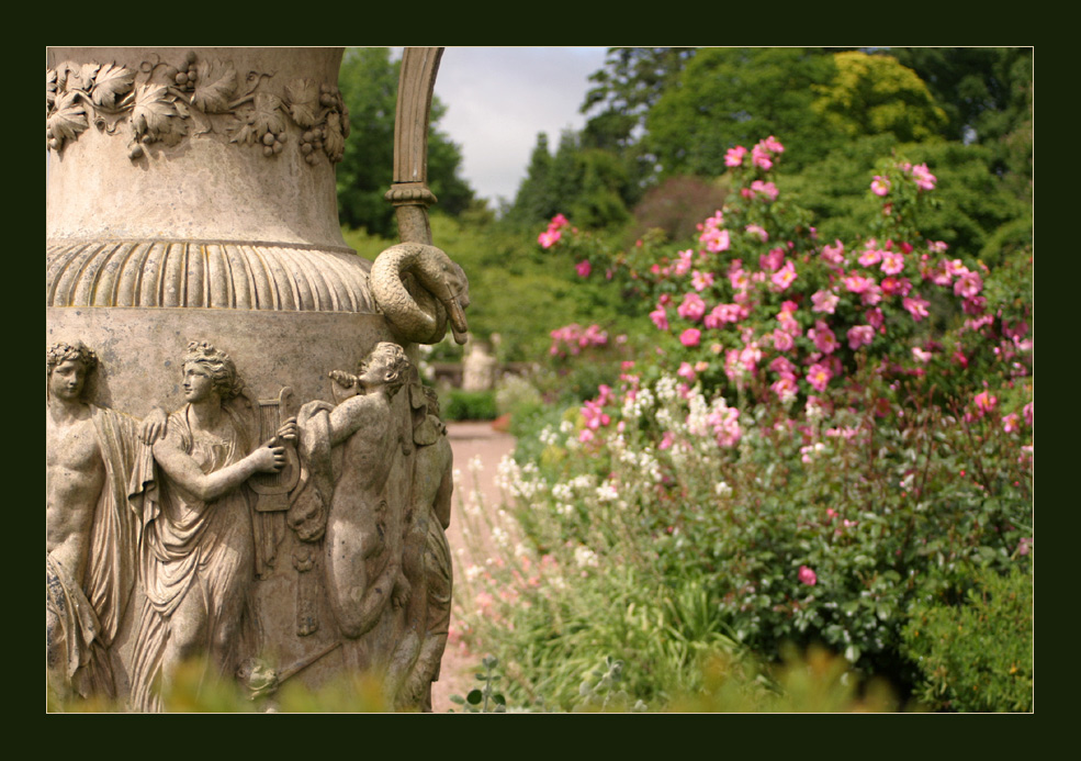 Killerton - Garden