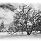 Killesberg im Schnee