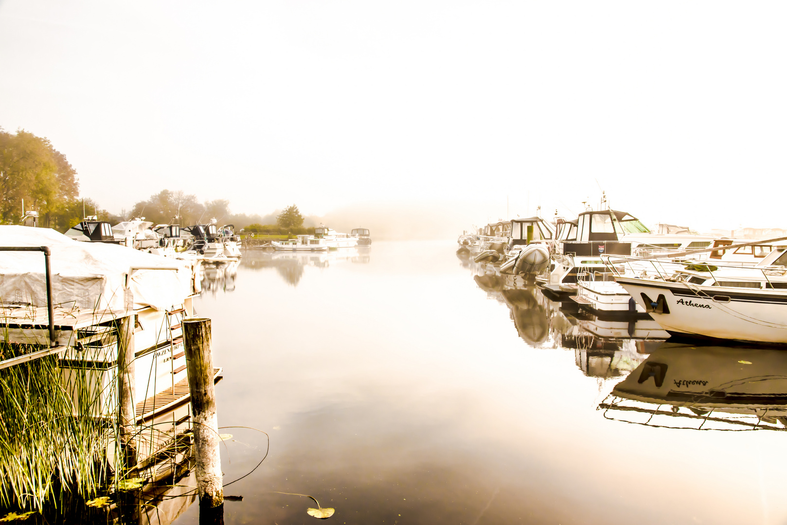 Killinure Point im morgendlichen Nebel