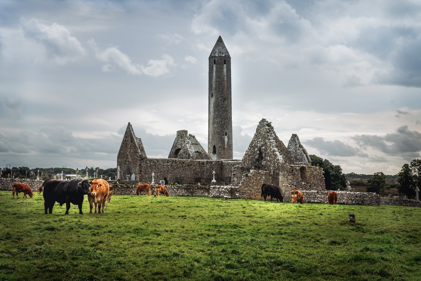 Kilmacduagh Abbey