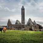 Kilmacduagh Abbey