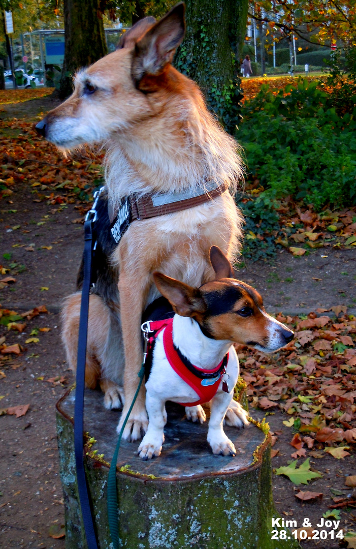 Kim und Joy / Oktober 2014