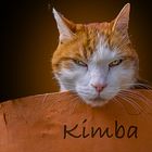 Kimba-