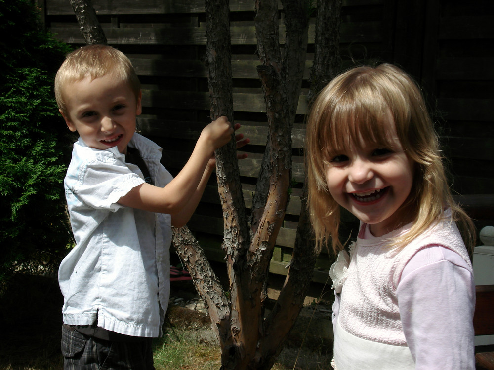 kimon und simela wollen auf den baum