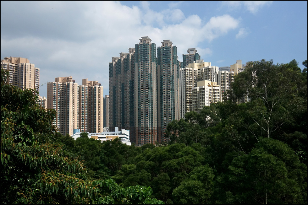 Kin Ming Estate