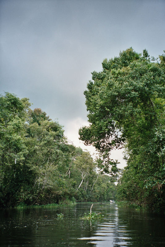 Kinabatang River - Sabah - Borneo (Malaysia