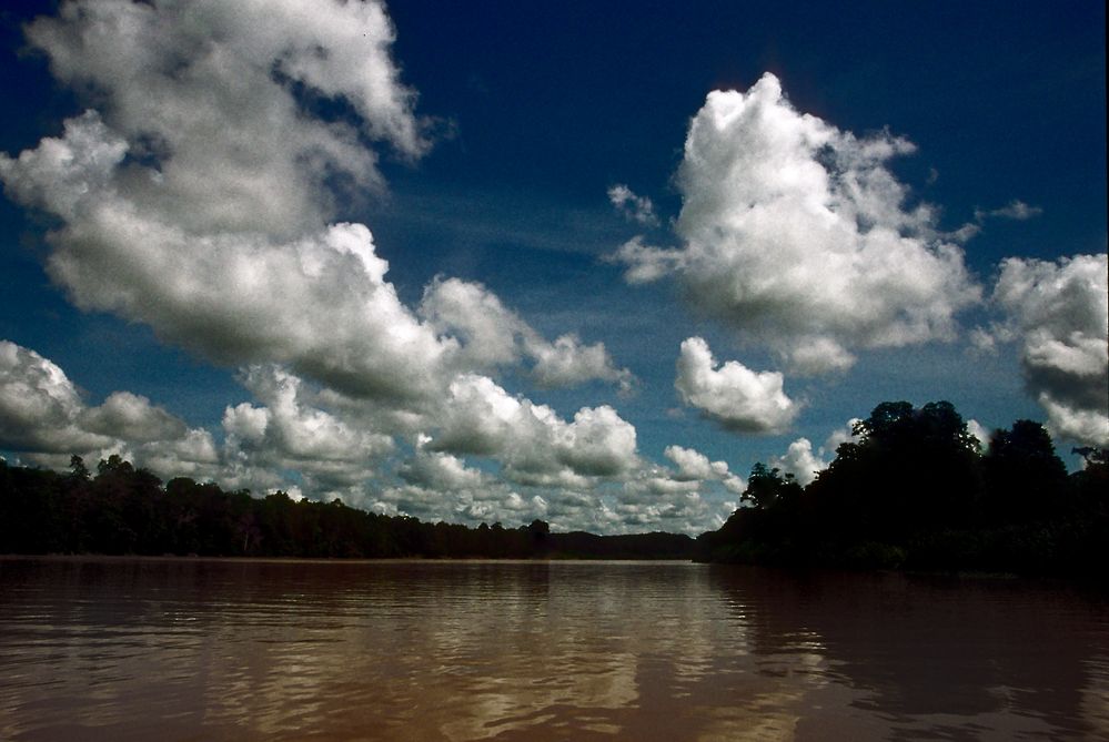 Kinabatangan River