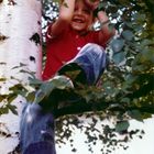Kind auf einem Baum