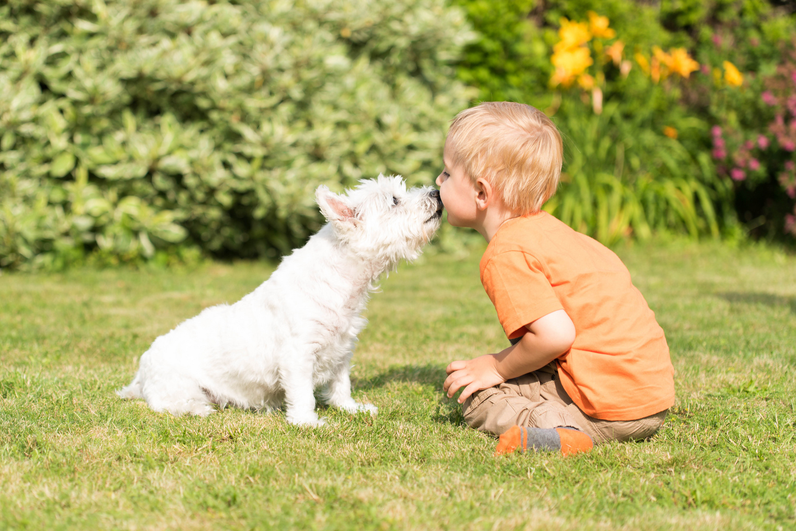 Kind Hund Liebe