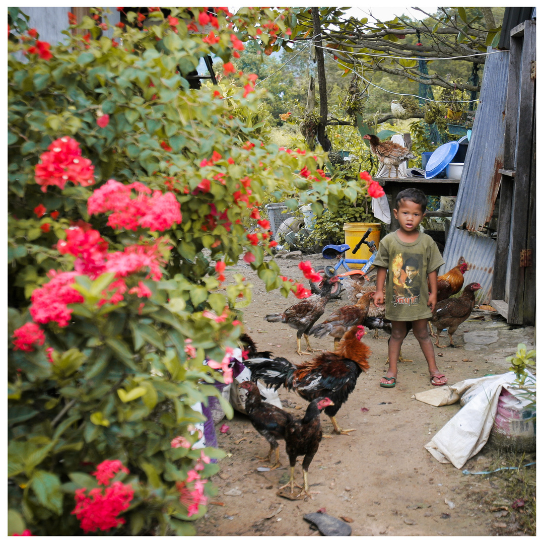 Kind im Hinterland von Koh Yao Noi - Thailand