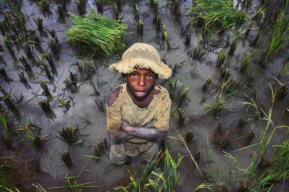 Kind im Reiefeld - Madagaskar