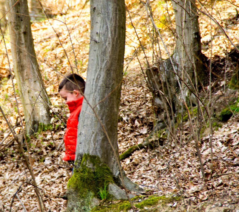 Kind im Wald von Manfred Kain 