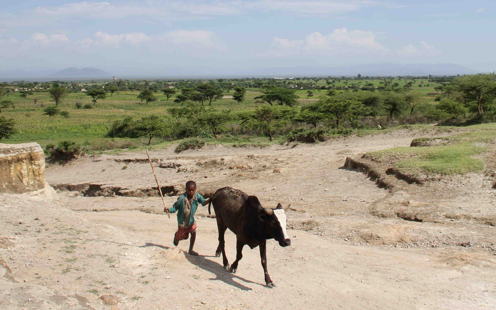 Kind in Äthiopien beim Rindertreiben