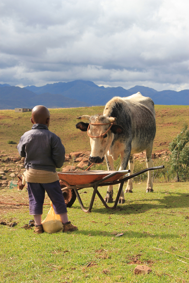 Kind in Lesotho - Malealea