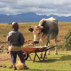 Kind in Lesotho - Malealea