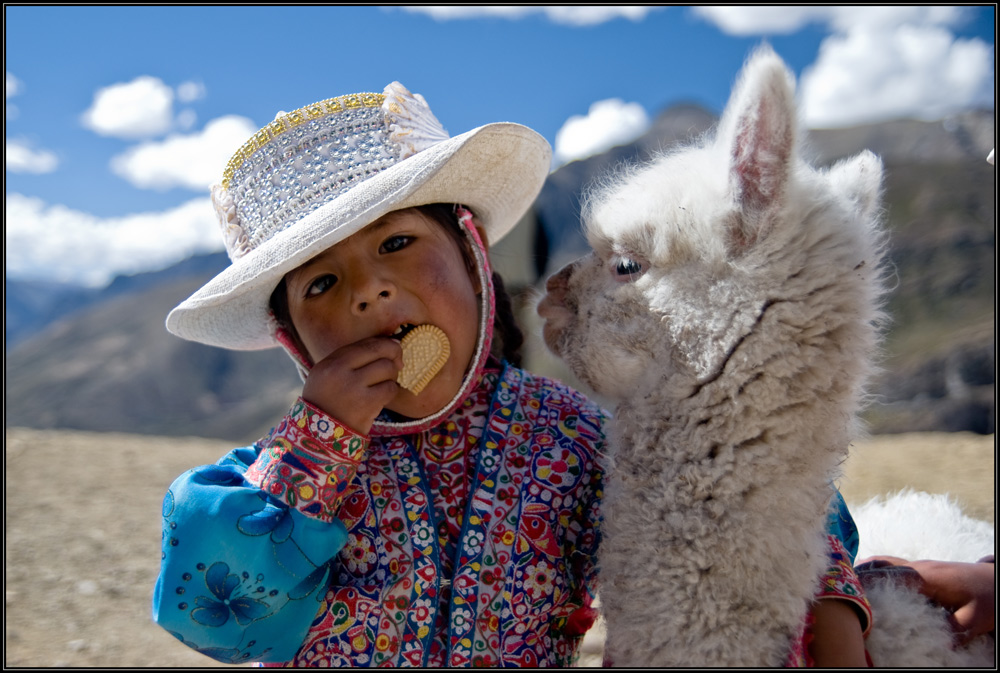 Kind mit einem Alpacababy