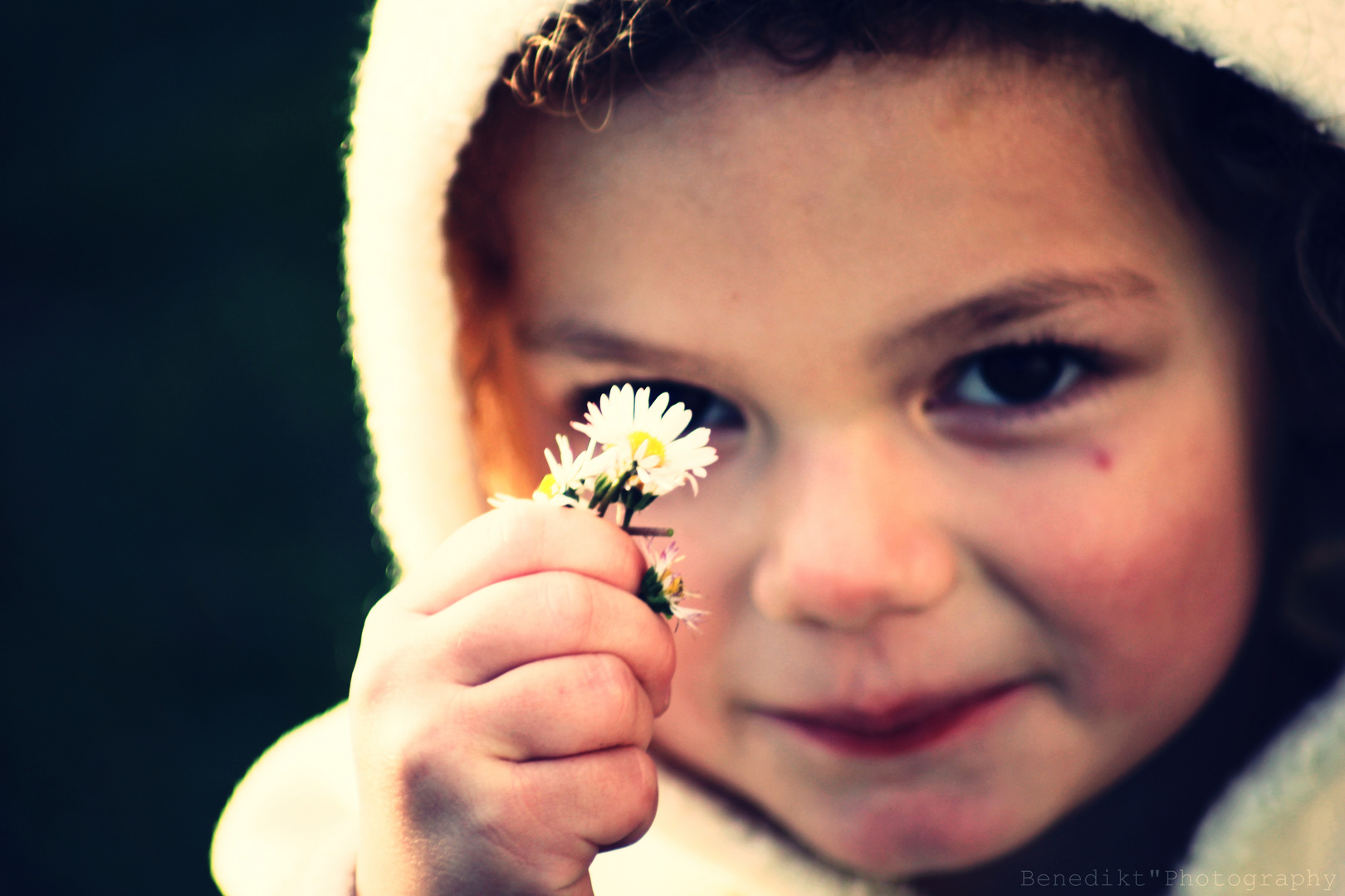 Kind mit Gänseblümchen