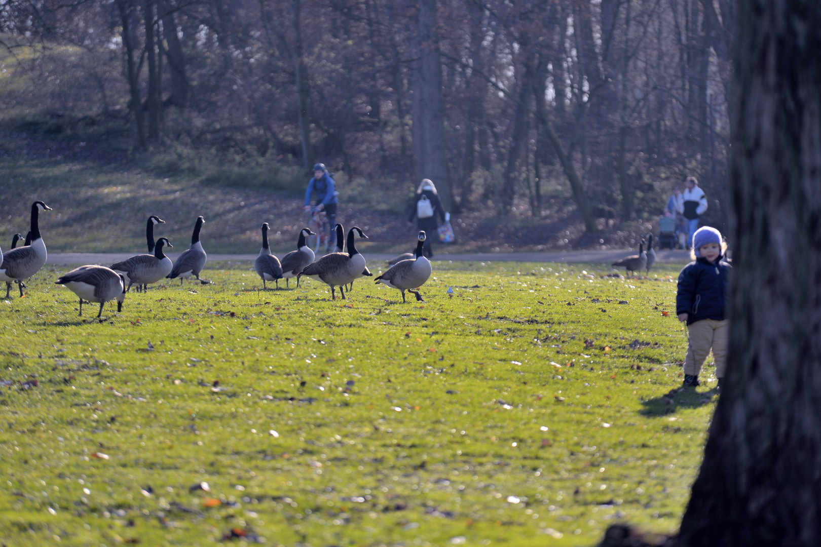 Kind und Gänse am Aachener Weiher.