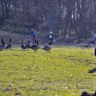 Kind und Gänse am Aachener Weiher.