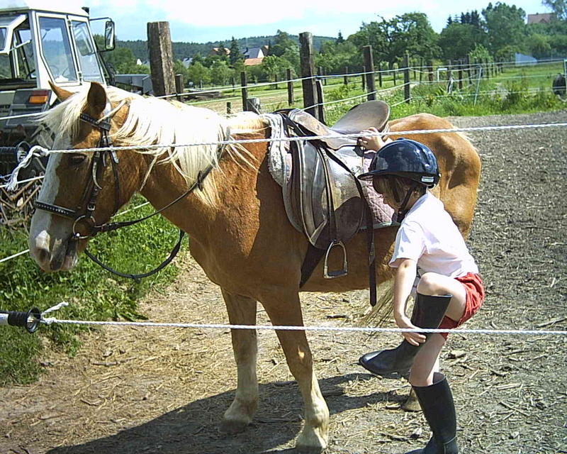 Kind und Pferd