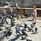 Kind und Tauben