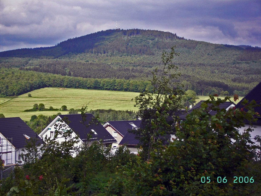 Kindelsberg vor Orkan "Kyrill"