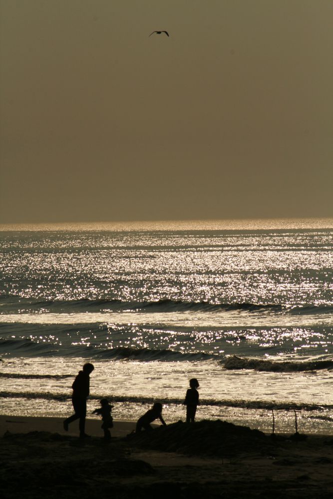 Kinder am Strand von Noordwyk