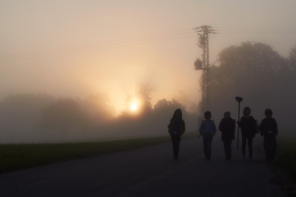 Kinder auf dem Weg zum Schulbus